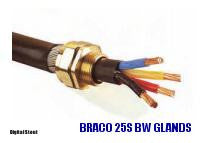 BRACO 25S BW GLANDS