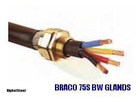 BRACO 75S BW GLANDS