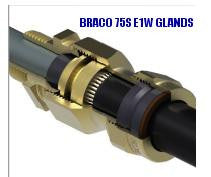 BRACO 75S E1W GLANDS