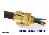 BRACO 75 CW GLANDS