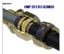 CMP 25 E1FX GLANDS
