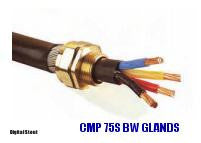 CMP 75S BW GLANDS