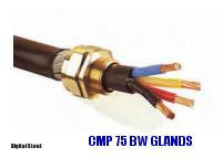 CMP 75 BW GLANDS
