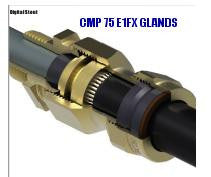 CMP 75 E1FX GLANDS